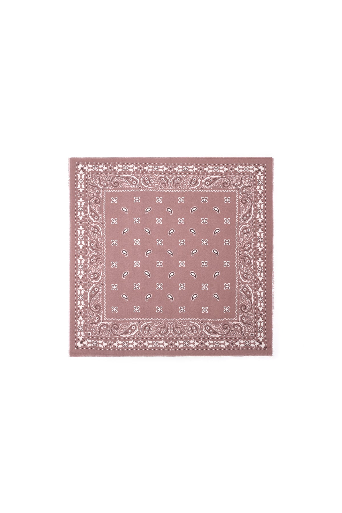 Winter scarves Paisley Pattern Casual Polyester Daily Accessories