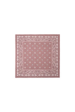 Winter scarves Paisley Pattern Casual Polyester Daily Accessories