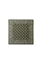 Winter scarves Paisley Pattern Casual Polyester Daily Accessories