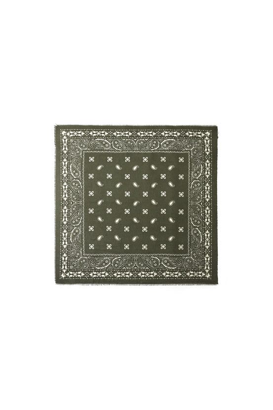 Winter scarves Paisley Pattern Casual Polyester Daily Accessories