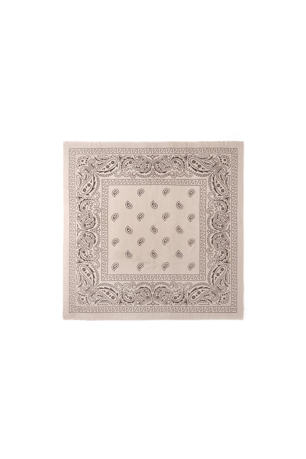 Winter scarves Paisley Pattern Classic Polyester Daily Accessories