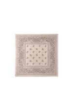 Winter scarves Paisley Pattern Classic Polyester Daily Accessories