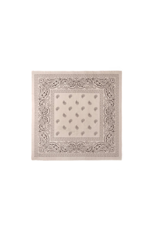 Winter scarves Paisley Pattern Classic Polyester Daily Accessories