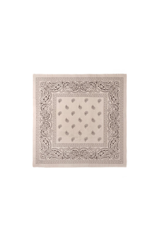 Winter scarves Paisley Pattern Classic Polyester Daily Accessories