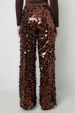 Woven Polyester Fiber Women's Straight Leg Pants Sequins Elegant