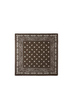 Winter scarves Paisley Pattern Casual Polyester Daily Accessories