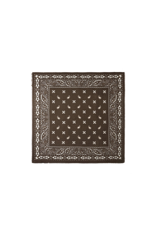 Winter scarves Paisley Pattern Casual Polyester Daily Accessories