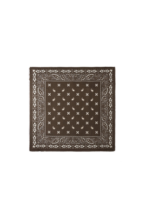 Winter scarves Paisley Pattern Casual Polyester Daily Accessories