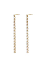 Stainless Steel Dangle Earrings Chain Elegant Gathering/Party Luxurious Series Women's jewelry