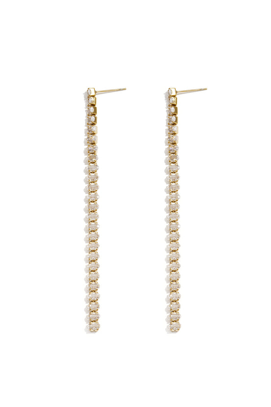 Stainless Steel Dangle Earrings Chain Elegant Gathering/Party Luxurious Series Women's jewelry