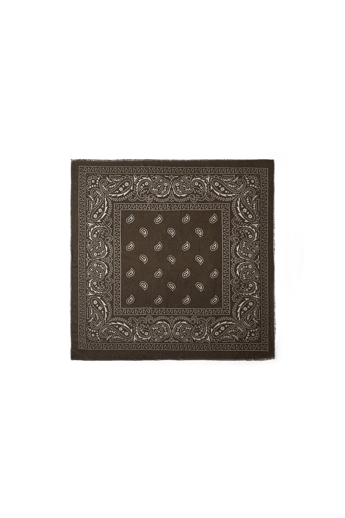Winter scarves Paisley Pattern Classic Polyester Daily Accessories
