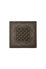 Winter scarves Paisley Pattern Classic Polyester Daily Accessories