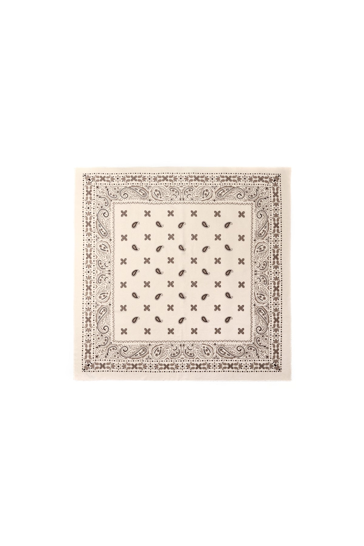 Winter scarves Paisley Pattern Casual Polyester Daily Accessories