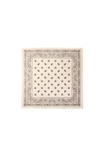 Winter scarves Paisley Pattern Casual Polyester Daily Accessories