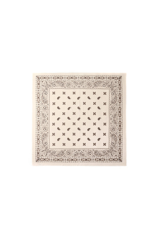Winter scarves Paisley Pattern Casual Polyester Daily Accessories