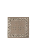Winter scarves Paisley Pattern Casual Polyester Daily Accessories
