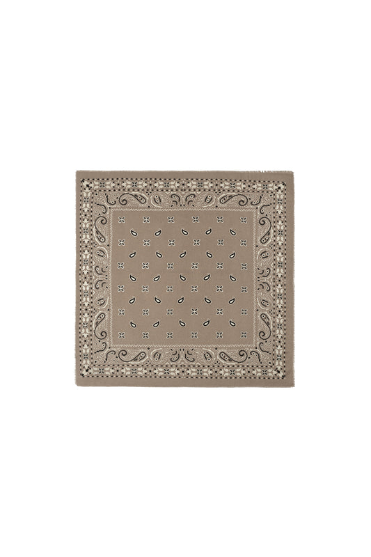 Winter scarves Paisley Pattern Casual Polyester Daily Accessories