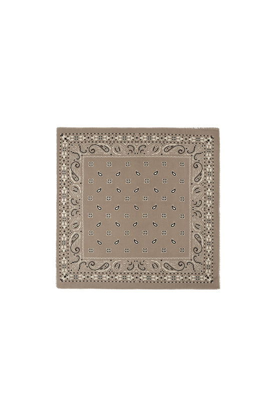 Winter scarves Paisley Pattern Casual Polyester Daily Accessories