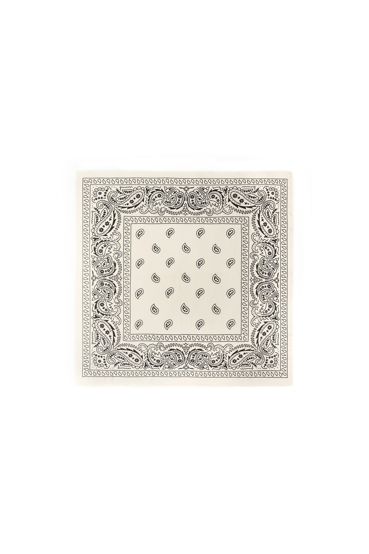 Winter scarves Paisley Pattern Classic Polyester Daily Accessories