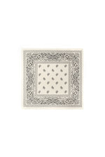 Winter scarves Paisley Pattern Classic Polyester Daily Accessories