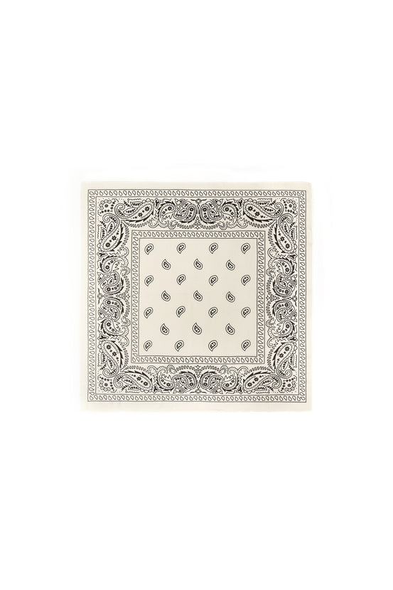 Winter scarves Paisley Pattern Classic Polyester Daily Accessories