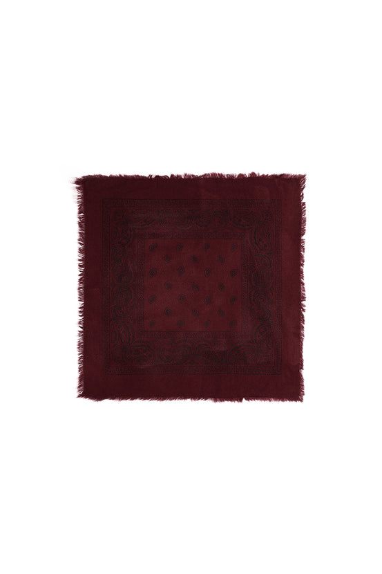 Winter scarves Paisley Pattern Retro Acrylic Daily Accessories