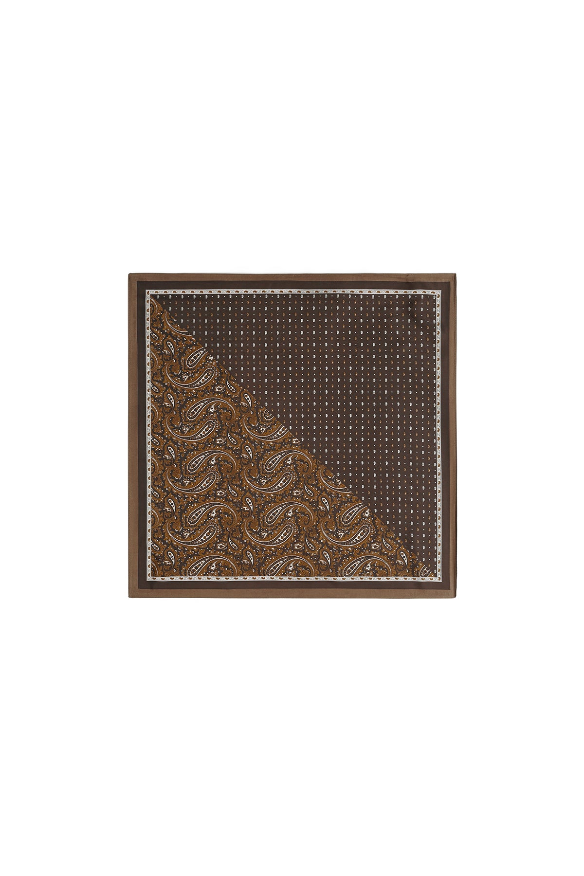 Winter scarves Paisley Pattern Retro Imitation Silk Daily Accessories