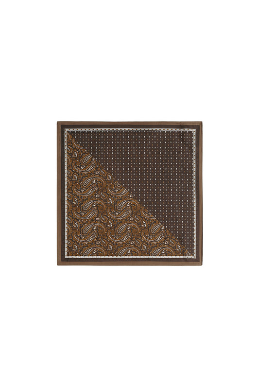 Winter scarves Paisley Pattern Retro Imitation Silk Daily Accessories