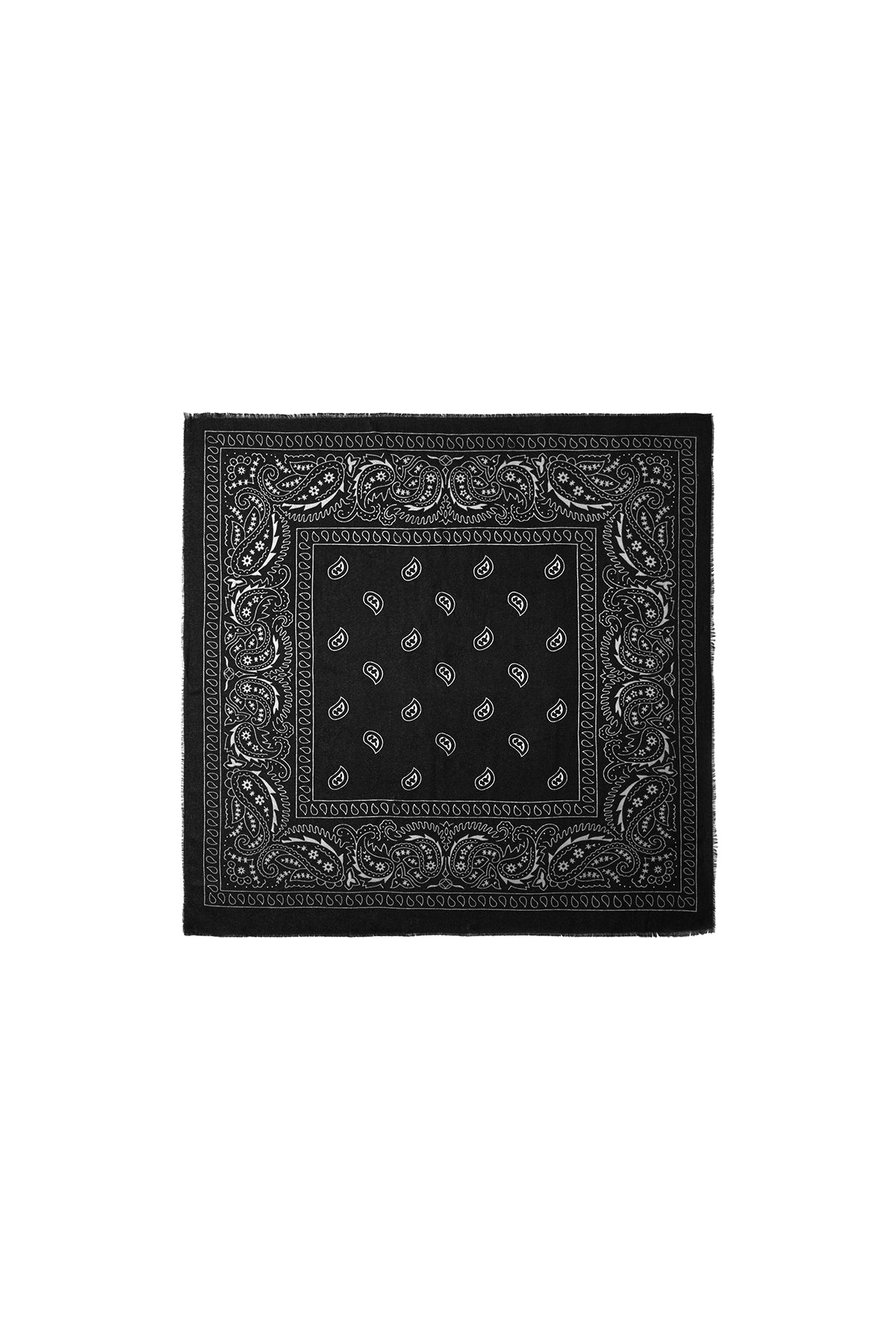 Winter scarves Paisley Pattern Classic Polyester Daily Accessories