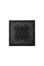 Winter scarves Paisley Pattern Classic Polyester Daily Accessories