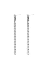 Stainless Steel Dangle Earrings Chain Elegant Gathering/Party Luxurious Series Women's jewelry